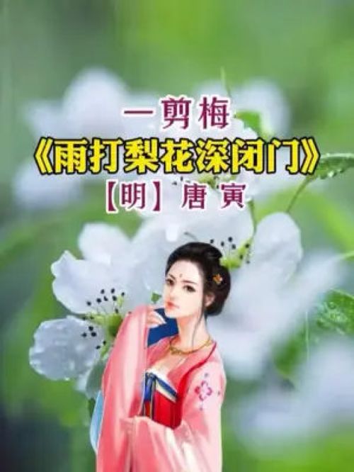 雨打梨花深閉門,忘了青春,誤了青春 曉看天色暮看云,行也思君,坐也思君 古風 情感 東方古典詩詞 剪同款