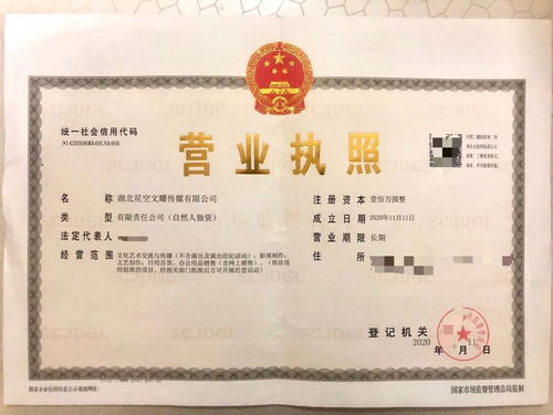 星空文耀 專業(yè)工商注冊(cè)實(shí)體工作室，高價(jià)收購(gòu)飛盧太監(jiān)書(shū)及財(cái)務(wù)咨詢